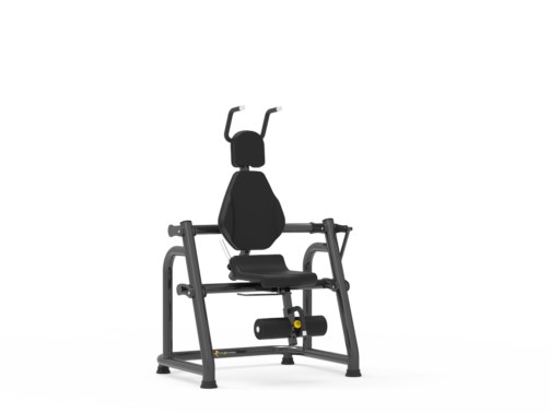 ABDOMINAL OBLIQUO - COMPACT.702