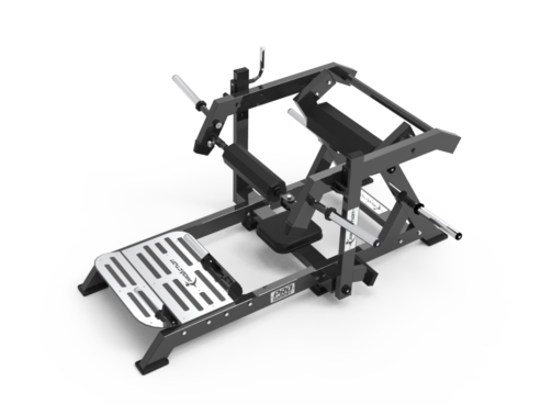 Elevação Pelvica 3