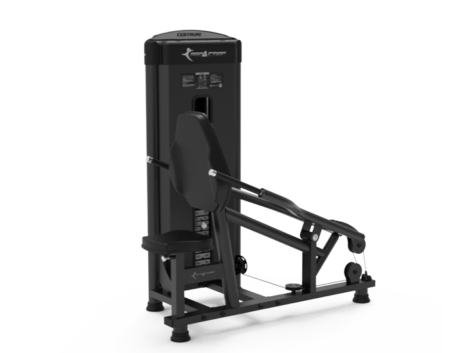 PACE89 - TRICEPS PARARELO.1259